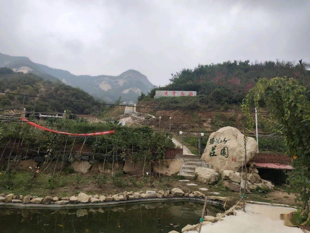 赛博朋克酒保行动